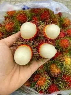 Hình ảnh Chôm chôm thái 
