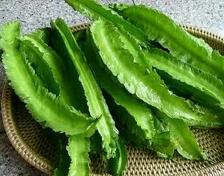 đậu rồng sống - 15.000 ₫ tại Cháo Ếch và Cháo Bò Singapore Bé Xu - Tân Quý
