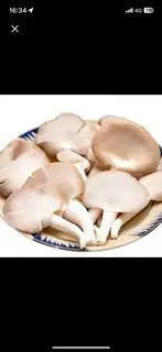 Hình ảnh nấm thêm