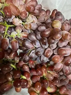 Hình ảnh khay Nho Rupy 
