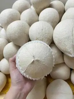 Hình ảnh Dừa Xiêm Trọc- size 620- 680gr