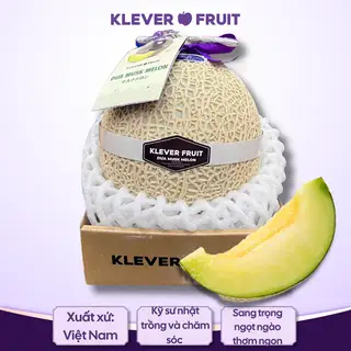 Hình ảnh Dưa giống Nhật Musk Melon - 01 quả size S  - Klever Fruit