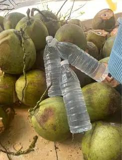 Hình ảnh Dừa Chai ( 850 ml ) 