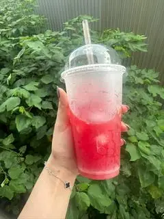 Hình ảnh Ép Dưa Hấu