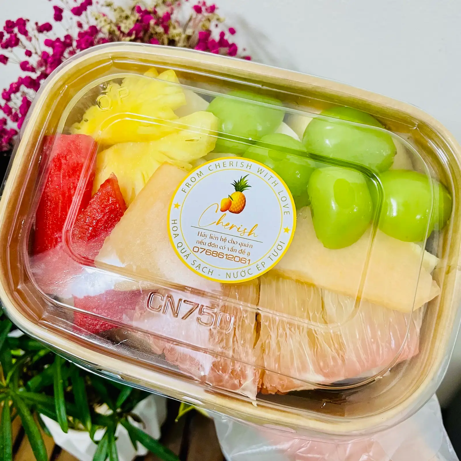 Hình ảnh Bưởi x Nho x Dứa x Dưa lưới x Dưa hấu