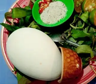 Hình ảnh Trứng Ngỗng