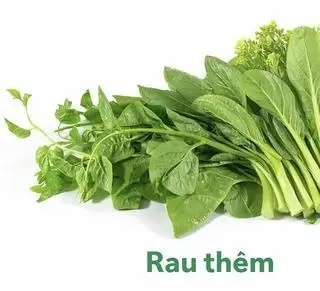 Rau thêm - 20.000 ₫ tại Lẩu Bò Hoàng Phúc 3 - Nguyễn Đình Chính