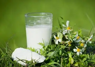 Hình ảnh Nước sắn dây