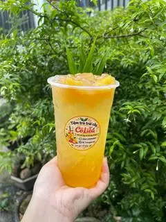 Hình ảnh Trà Thơm Đác