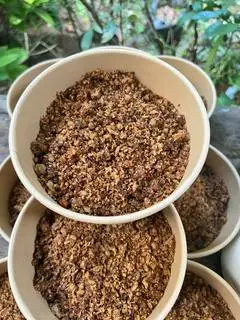 Hình ảnh Bằm chay Vườn chay xanh