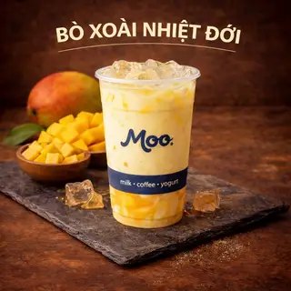 Hình ảnh Bò Xoài Nhiệt Đới