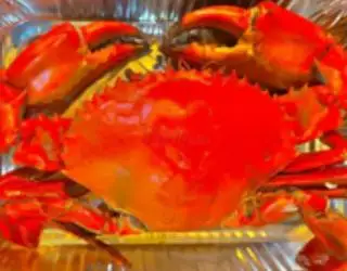 Hình ảnh SET 2 : 2 CUA THỊT SIZE VỪA + 2 CUA GẠCH SIZE VỪA 