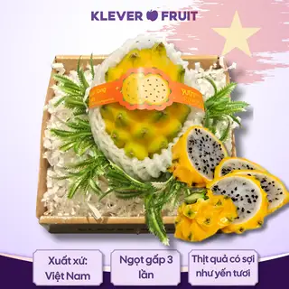Hình ảnh Thanh Long Tổ Yến giống Ecuador - Khay 01 quả ~ 0.23kg - Bird’s Nest Dragon Fruit - Klever Fruit