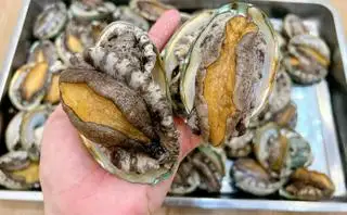 Hình ảnh Cháo Bào Ngư hầm Chim Câu, Táo đỏ