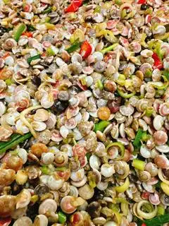 Hình ảnh Ốc Ruốc Size 4567 li 500g