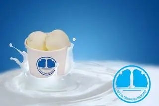 Sữa chua trân châu trắng cốt dừa - 40.000 ₫ tại Sữa Chua Trân Châu Hạ Long - 391 Trần Hưng Đạo