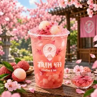 Hình ảnh VẢI GẶP SAKURA (Trà Vải Hoa Anh Đào)
