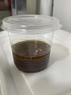 Hình ảnh Mắm tôm