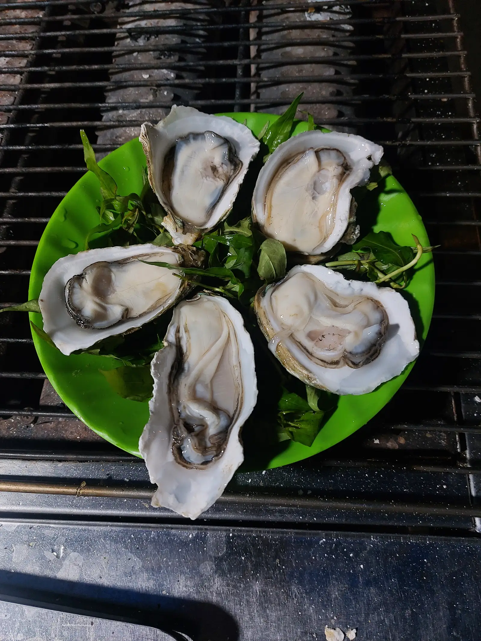 Hình ảnh sashimi