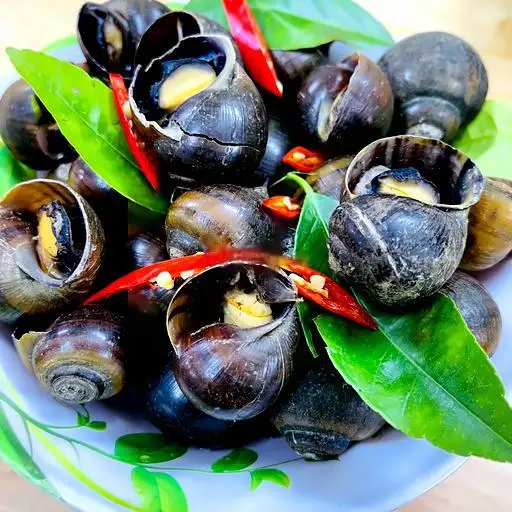 Hình ảnh Combo 3: 1 ốc nhỏ - 1 ngao - 5 nem rán - 1 khoai - coca chai