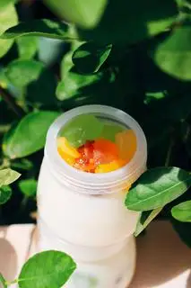 Hình ảnh Sữa chua hạt đác (hủ)