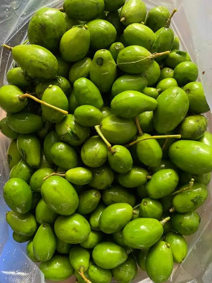 Hình ảnh Cóc non bao tử - 5 lạng