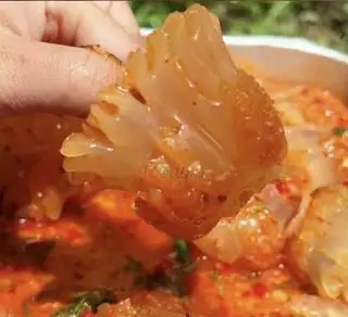 Hình ảnh Sứa đạn - sứa trân châu