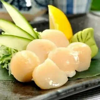 Hình ảnh Sashimi Sò Điệp Nhật - Hotate Sashimi - 6pcs SH16