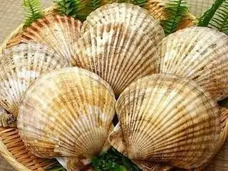 Hình ảnh Cháo ngao - trai