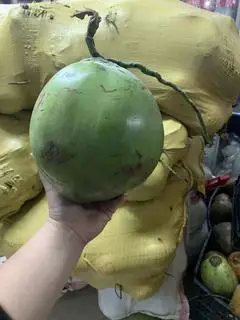 Hình ảnh dừa xiêm quả