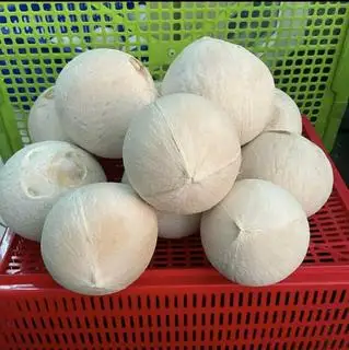 Hình ảnh Combo 20 trái- size 690- 750gr