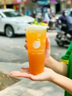 Hình ảnh Trà Quất Nha Đam