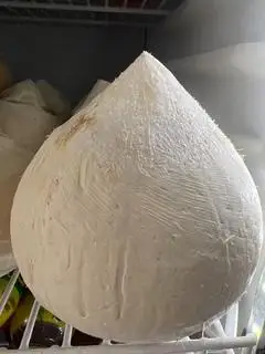 Hình ảnh Dừa trái