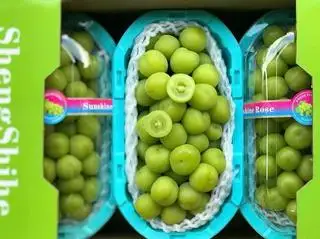 Hình ảnh Nho sữa- hộp