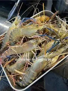 Hình ảnh Cháo tôm càng sốt phô mai nhật