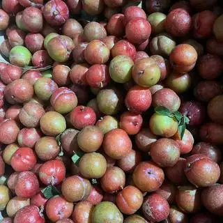 Hình ảnh 1hộp mận hậu trái vụ