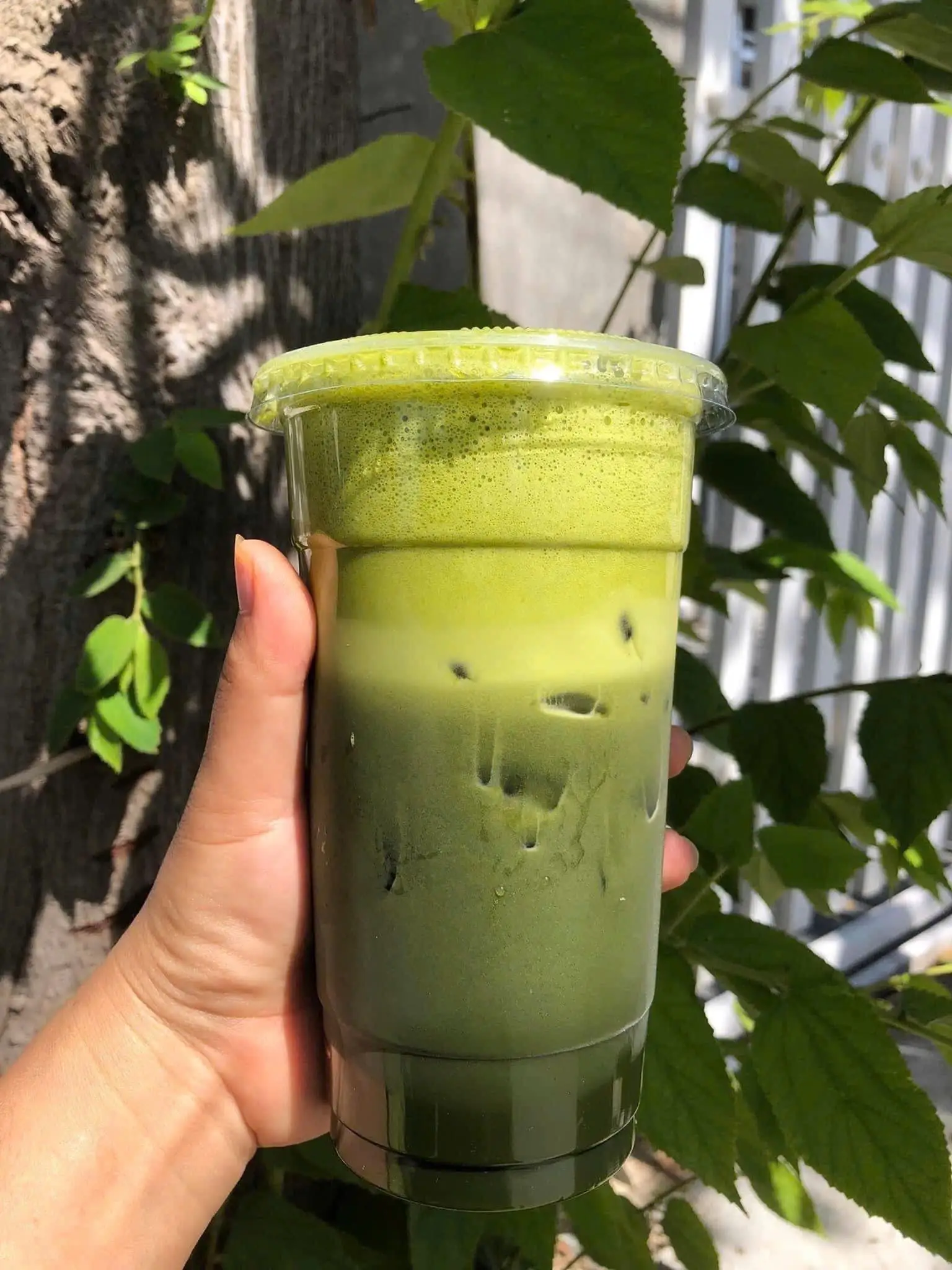 Rau Má Đậu (Ly 700ml) - 22.000 ₫ tại Miju Juices - Sinh Tố, Nước Ép & Trái Cây Tươi - Thoại Ngọc Hầu