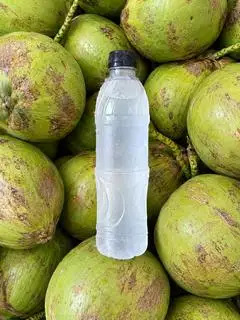 Hình ảnh Nước dừa nguyên chât 500ml