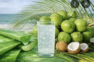 Hình ảnh Nước dừa thạch nha đam 1000ml