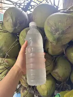 Hình ảnh Dừa Xiêm Đóng Chai Lớn