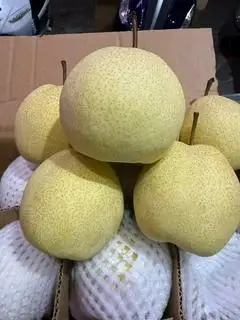 Hình ảnh Lê đường 