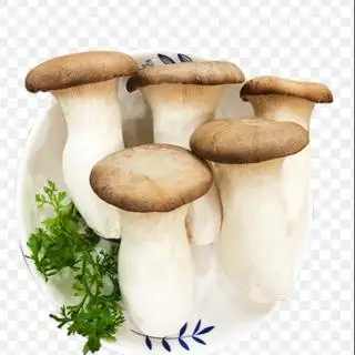 Hình ảnh Nấm Đùi Gà -50g