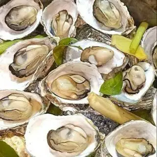 Hình ảnh 1KG HÀU HẤP (SỐNG)