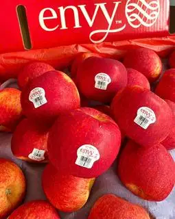 Táo Envy giòn ngọt - hộp 6 trái 1.2kg - 295.000 ₫ tại Trái Cây Nhập Khẩu Nguyên Fruit - Chung Cư Miếu Nổi