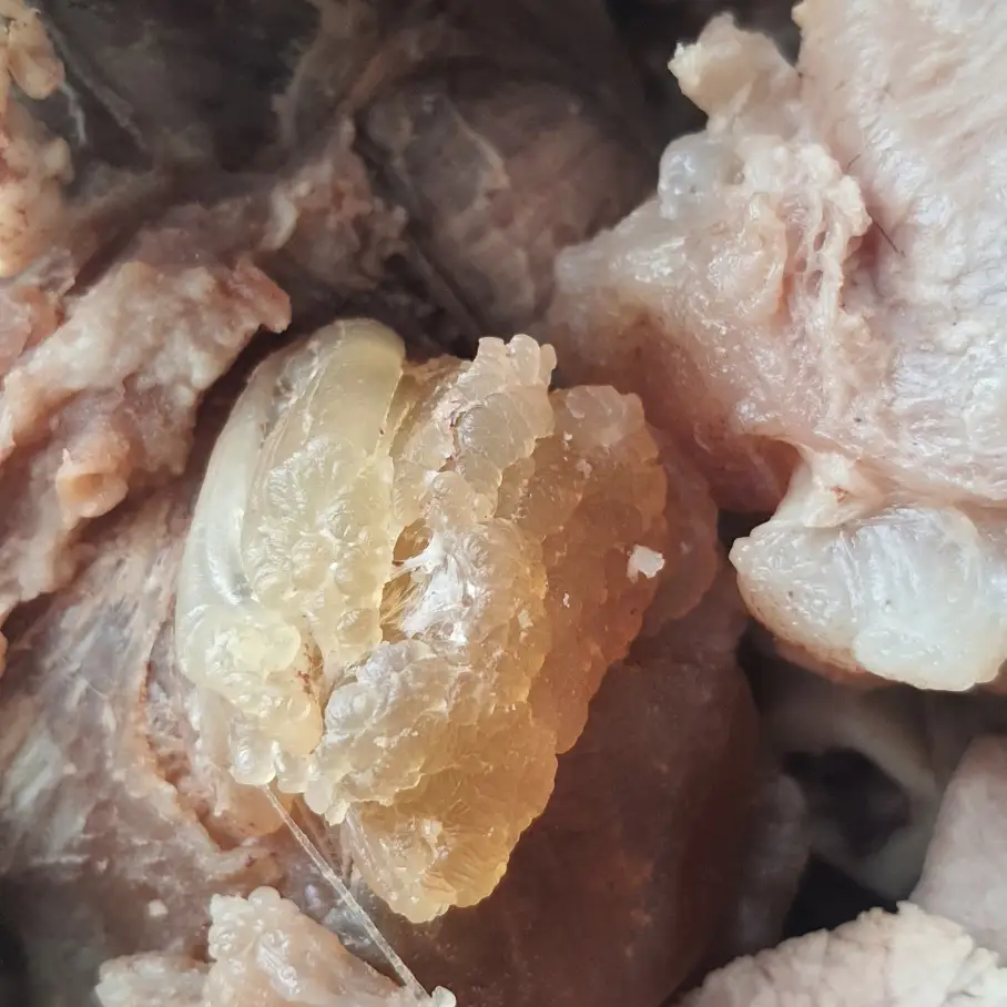 BÚN BÒ NẠM GÂN - 55.000 ₫ tại Bún Bò Huế 292 - Nguyễn Xí 