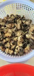 Hình ảnh Ốc