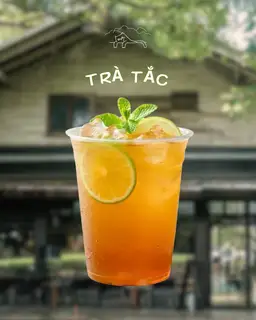Hình ảnh Trà Tắc khổng lồ
