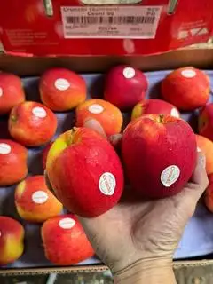 Hình ảnh táo cần