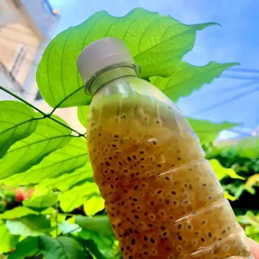 Nước Hạt é - 17.000 ₫ tại Bánh Đúc Cô Phụng - Phan Tây Hồ