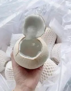 Hình ảnh Dừa Xiêm Trọc- size 690- 750gr